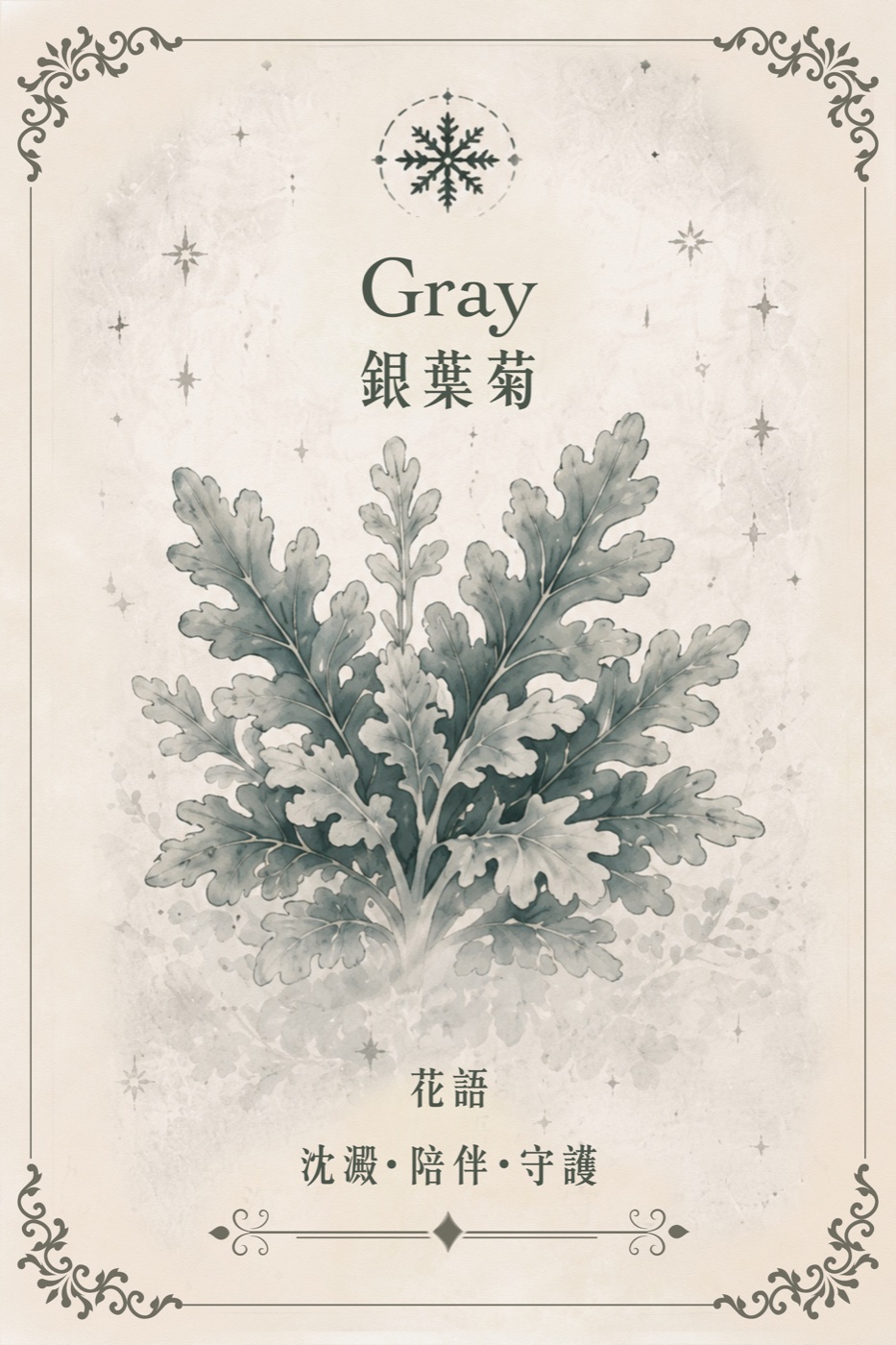 灰色銀葉菊小花卡